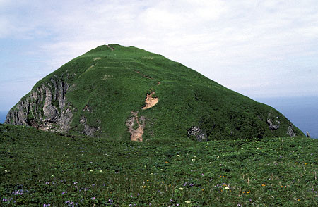 桃岩(Momoiwa)画像
